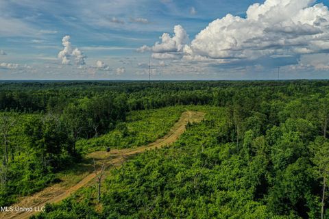 Vacant Land For Sale - 0002 Garrett Creek Loop<br/> Pontotoc, MS 38863