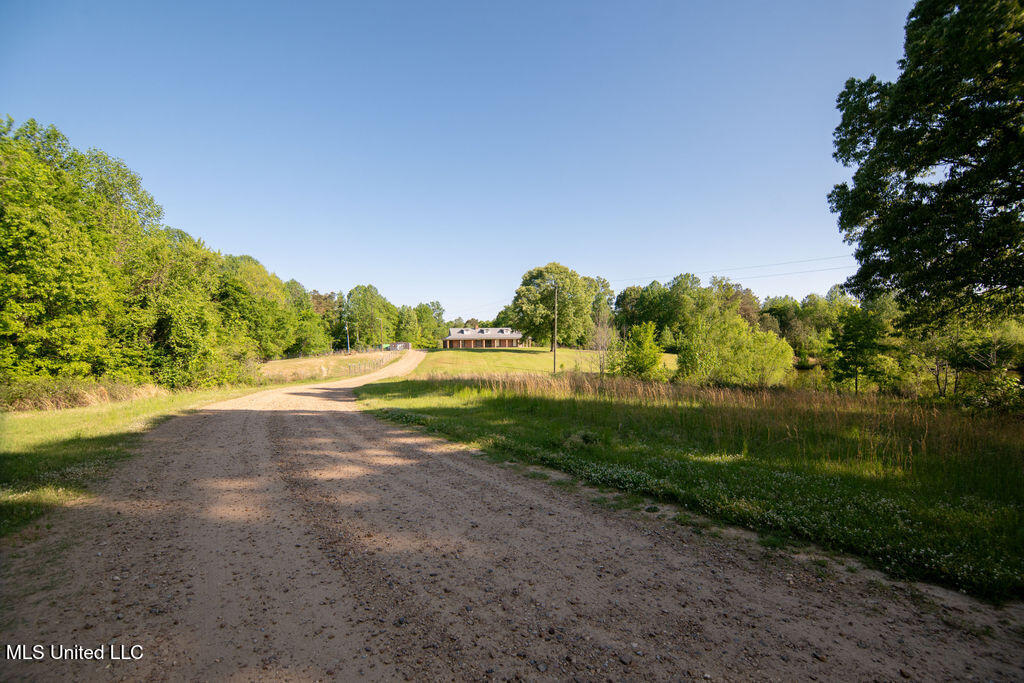 290 Abigail Lane, Bentonia, Mississippi image 32