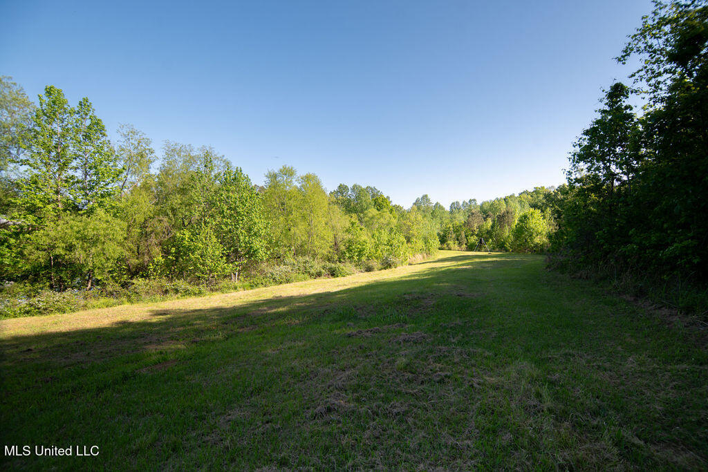 290 Abigail Lane, Bentonia, Mississippi image 38