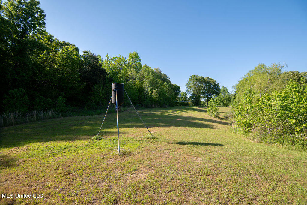 290 Abigail Lane, Bentonia, Mississippi image 40