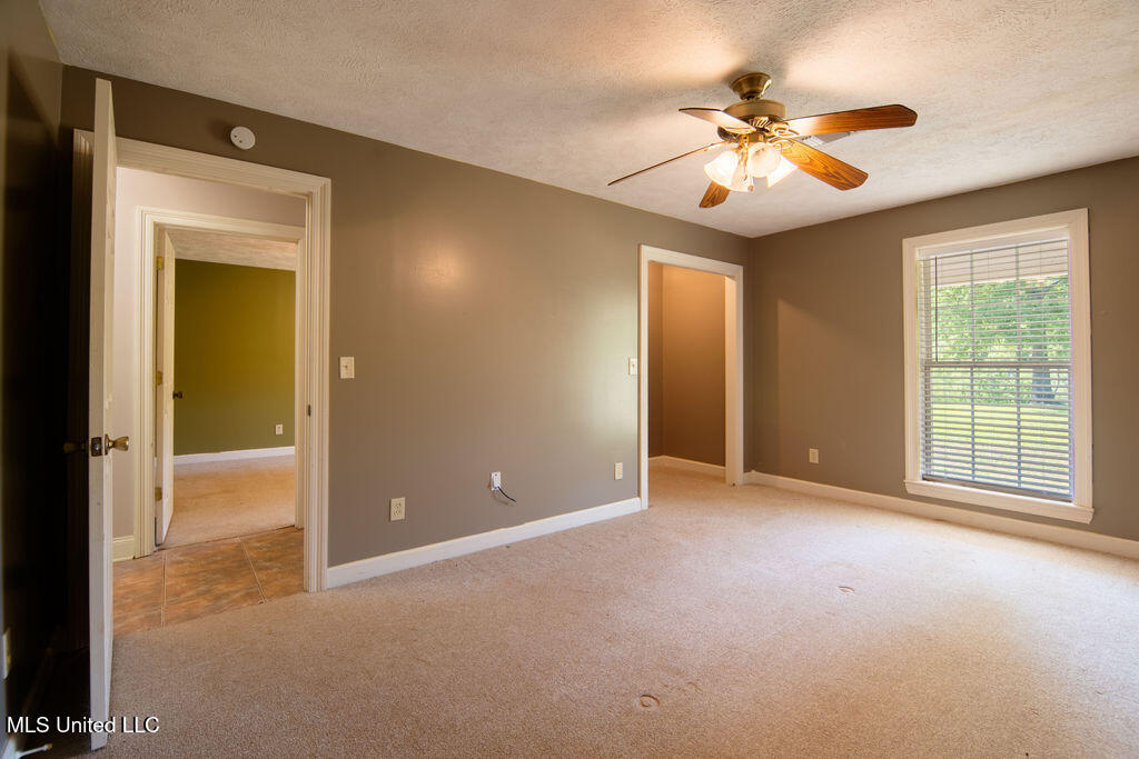 290 Abigail Lane, Bentonia, Mississippi image 28