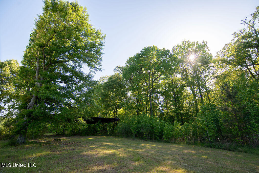 290 Abigail Lane, Bentonia, Mississippi image 42