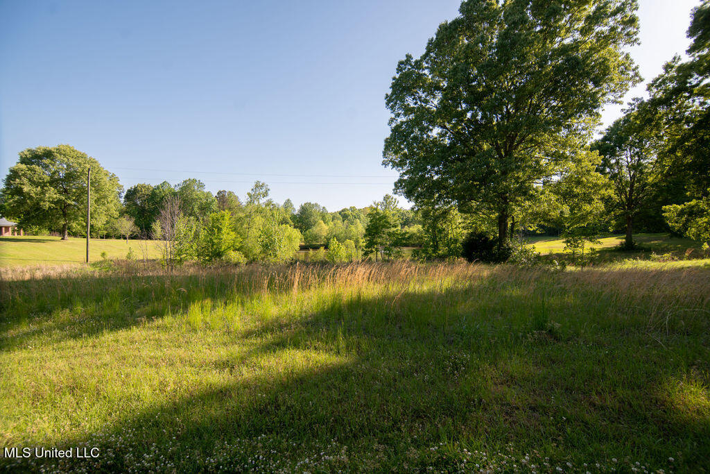 290 Abigail Lane, Bentonia, Mississippi image 39
