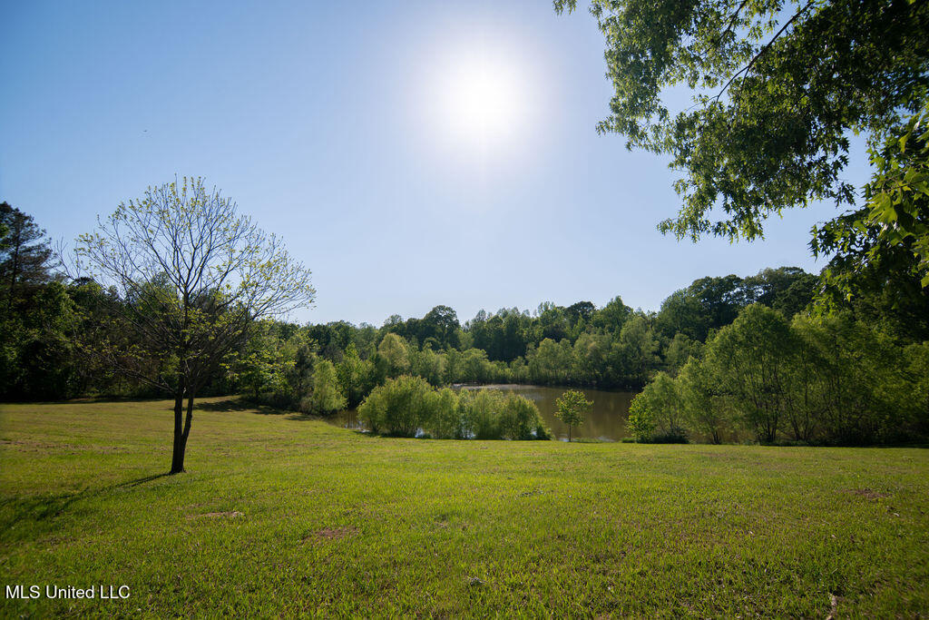 290 Abigail Lane, Bentonia, Mississippi image 35