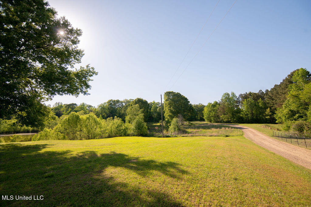 290 Abigail Lane, Bentonia, Mississippi image 33