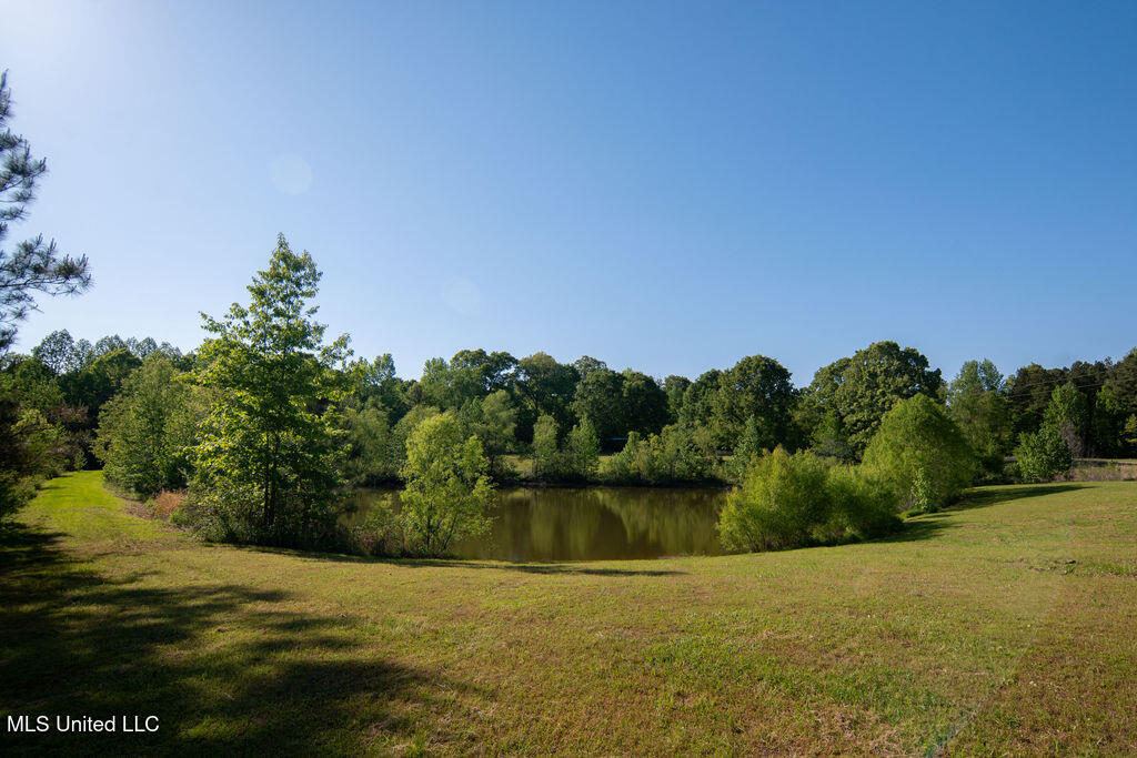 290 Abigail Lane, Bentonia, Mississippi image 37