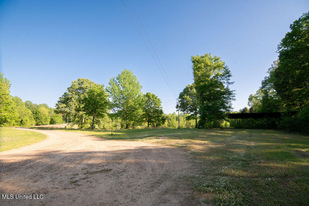 290 Abigail Lane, Bentonia, Mississippi image 41