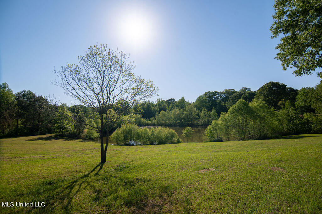 290 Abigail Lane, Bentonia, Mississippi image 36