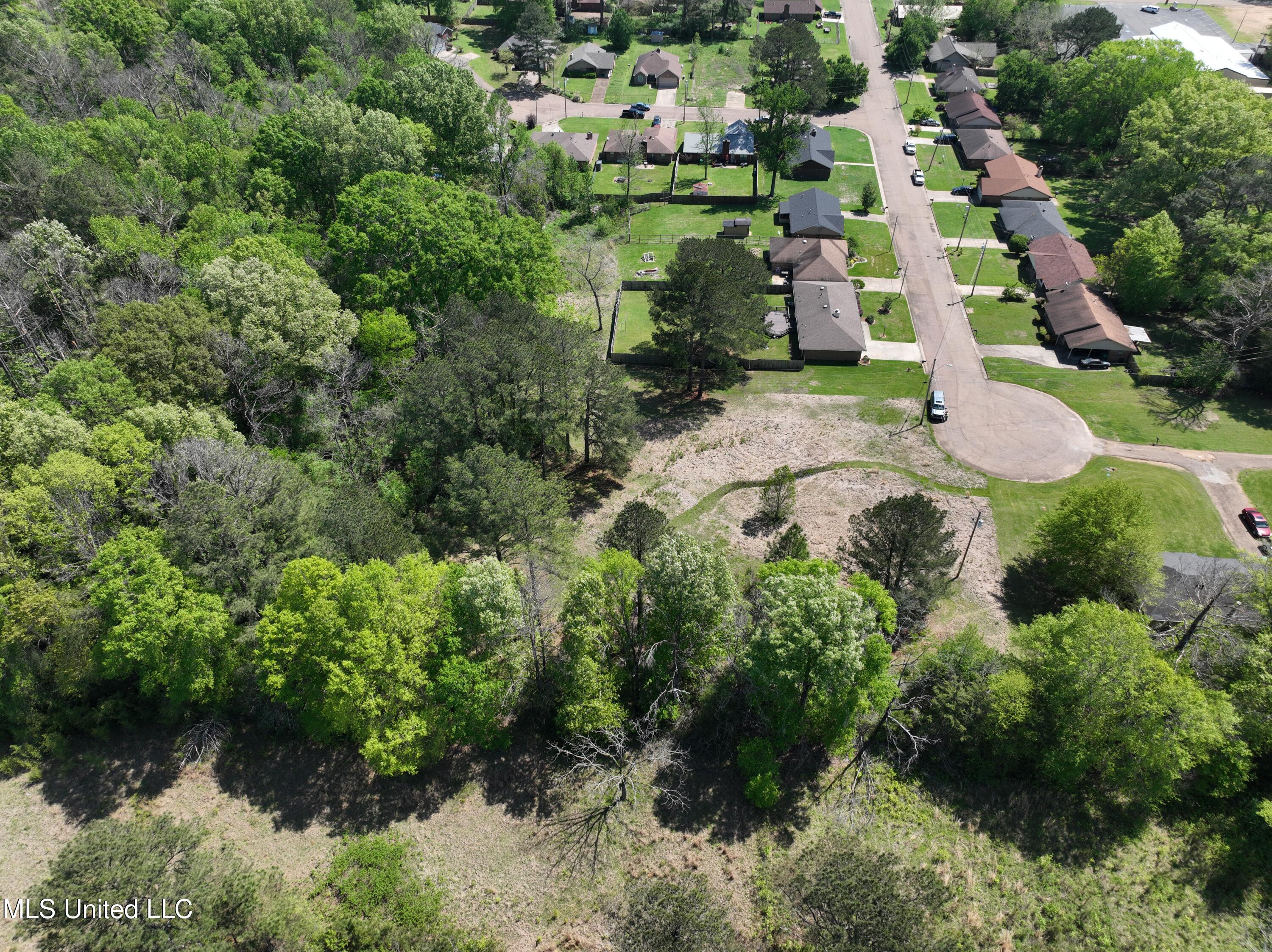 Wyndallwood Drive, Jackson, Mississippi image 5