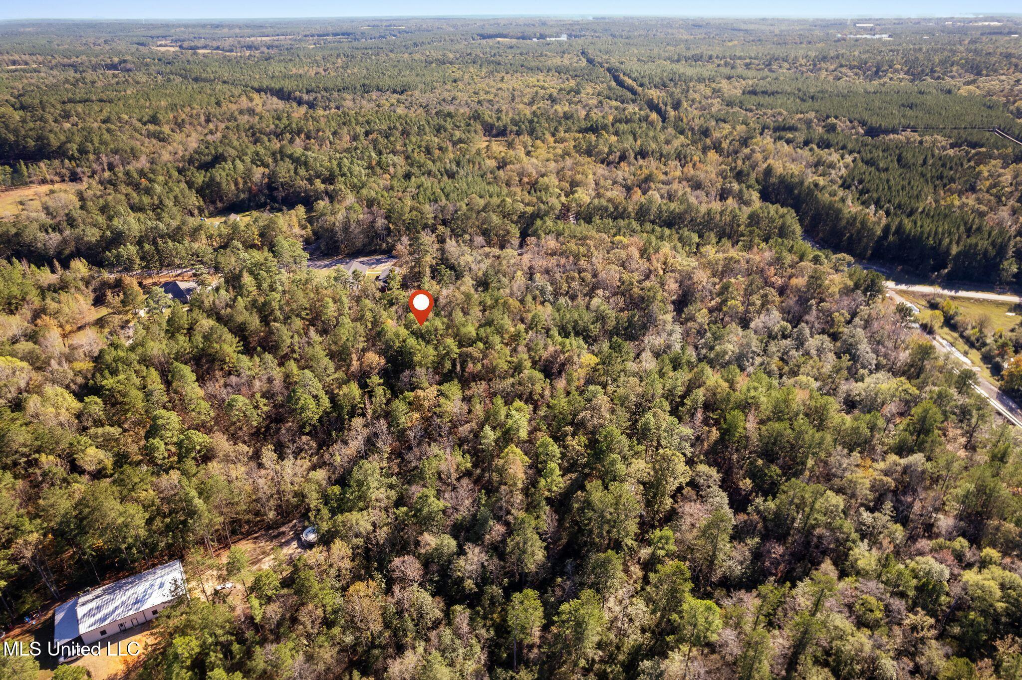 3.01 +/- Acres Old Okahola School Road, Purvis, Mississippi image 4