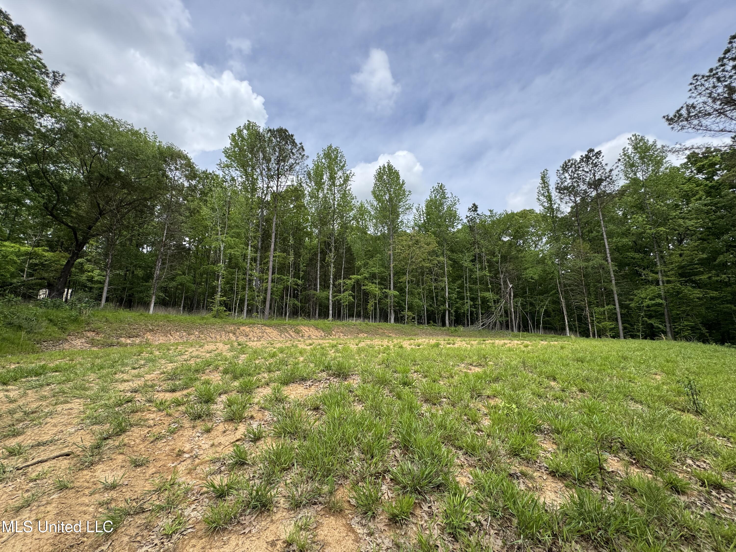 13996 Davenport Road, Byhalia, Mississippi image 17