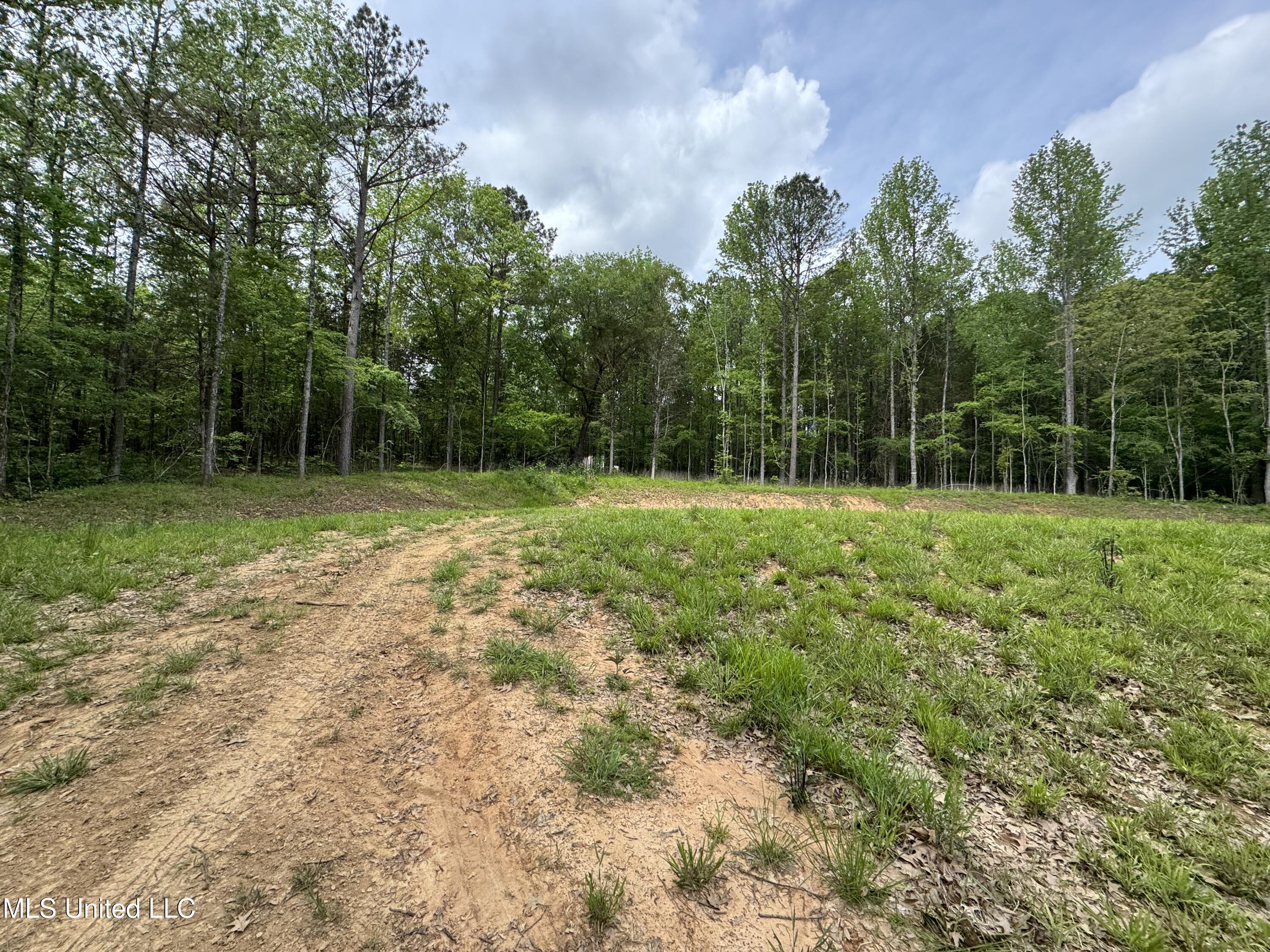 13996 Davenport Road, Byhalia, Mississippi image 10