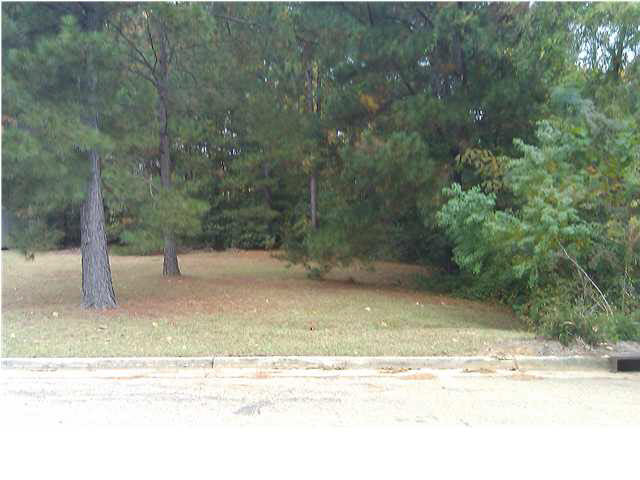 Watersview Street #LOT 13, Jackson, Mississippi image 1