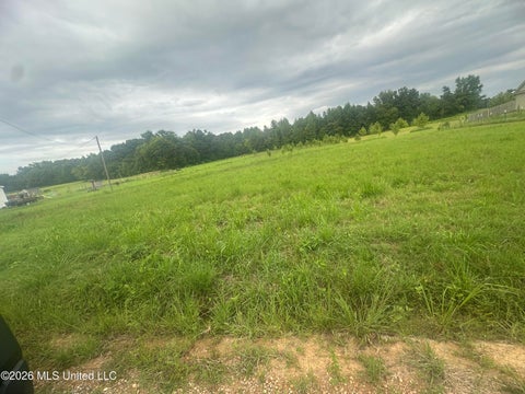 Vacant Land For Sale - 78 Boone Road<br/> Holly Springs, MS 38635