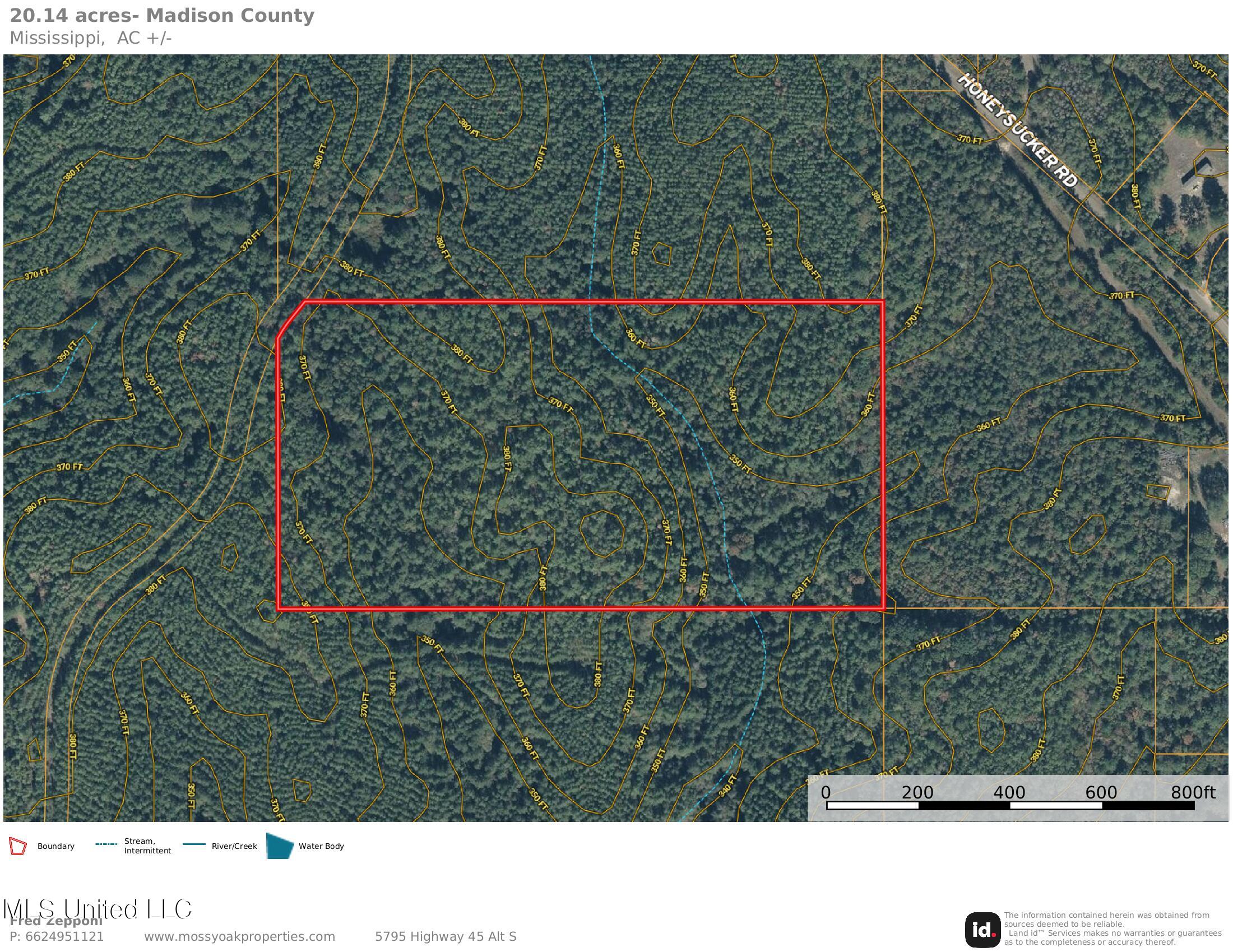 Honeysucker Road, Camden, Mississippi image 1