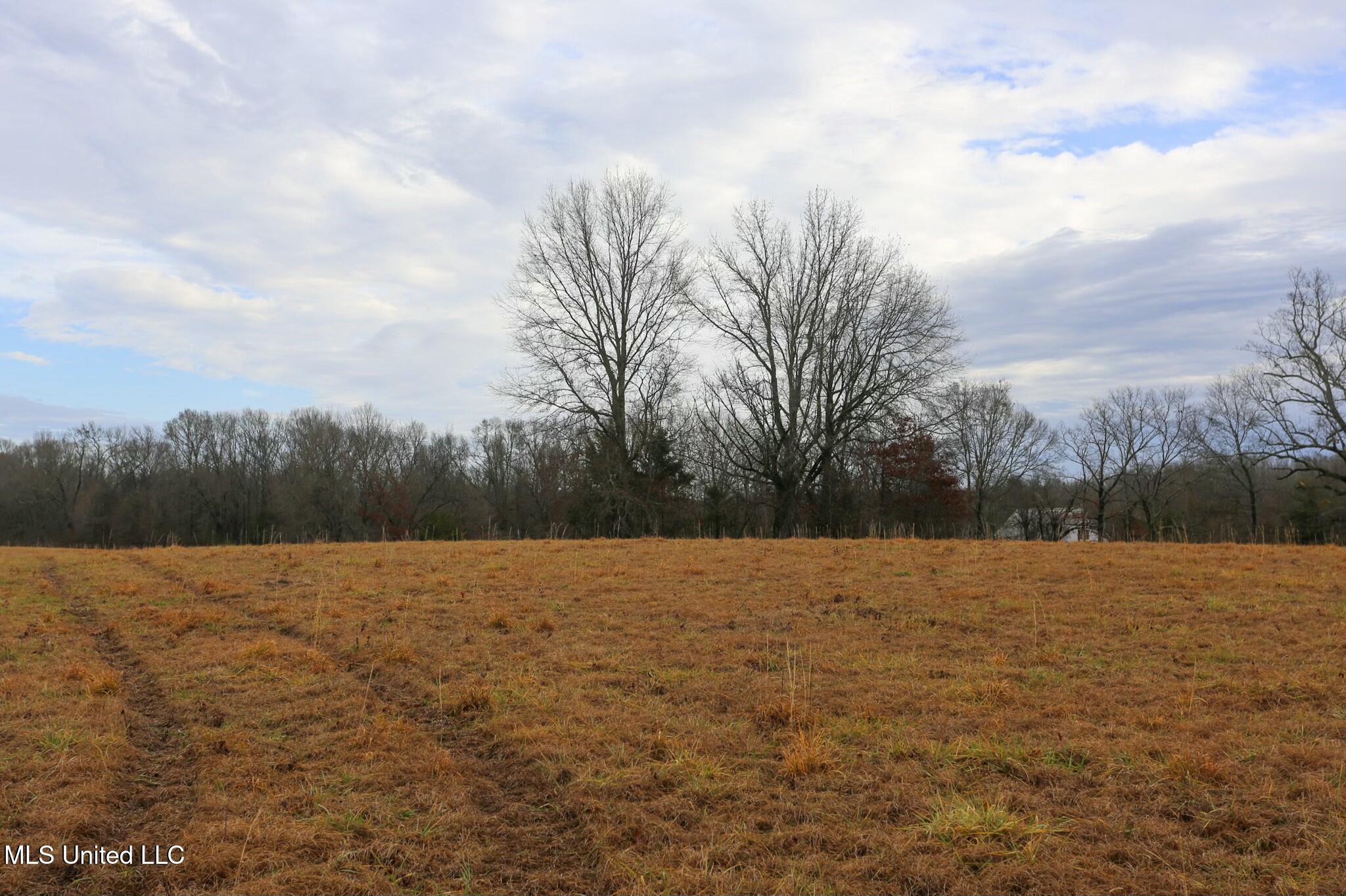 Pardue Rd Road, Raymond, Mississippi image 7