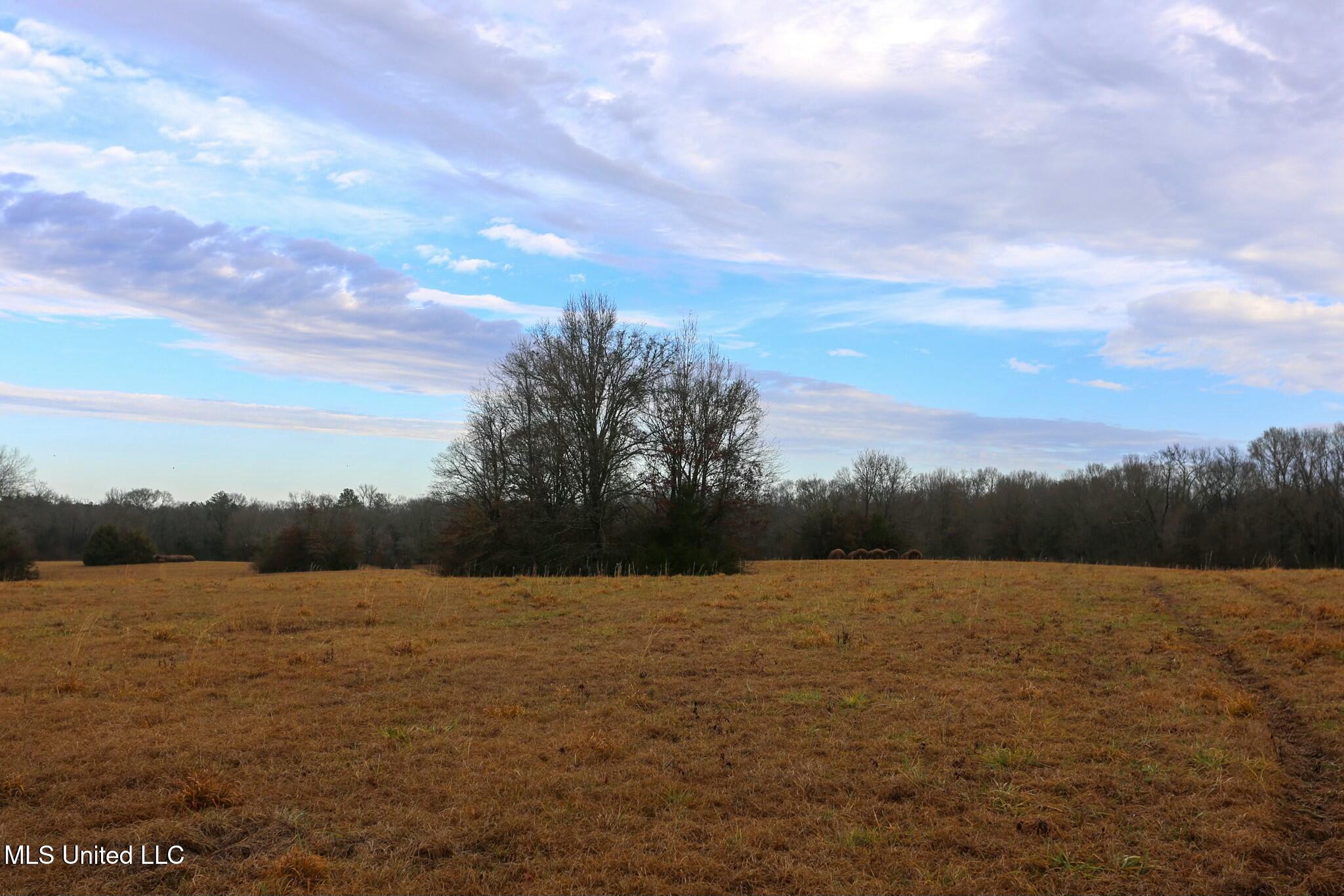 Pardue Rd Road, Raymond, Mississippi image 6