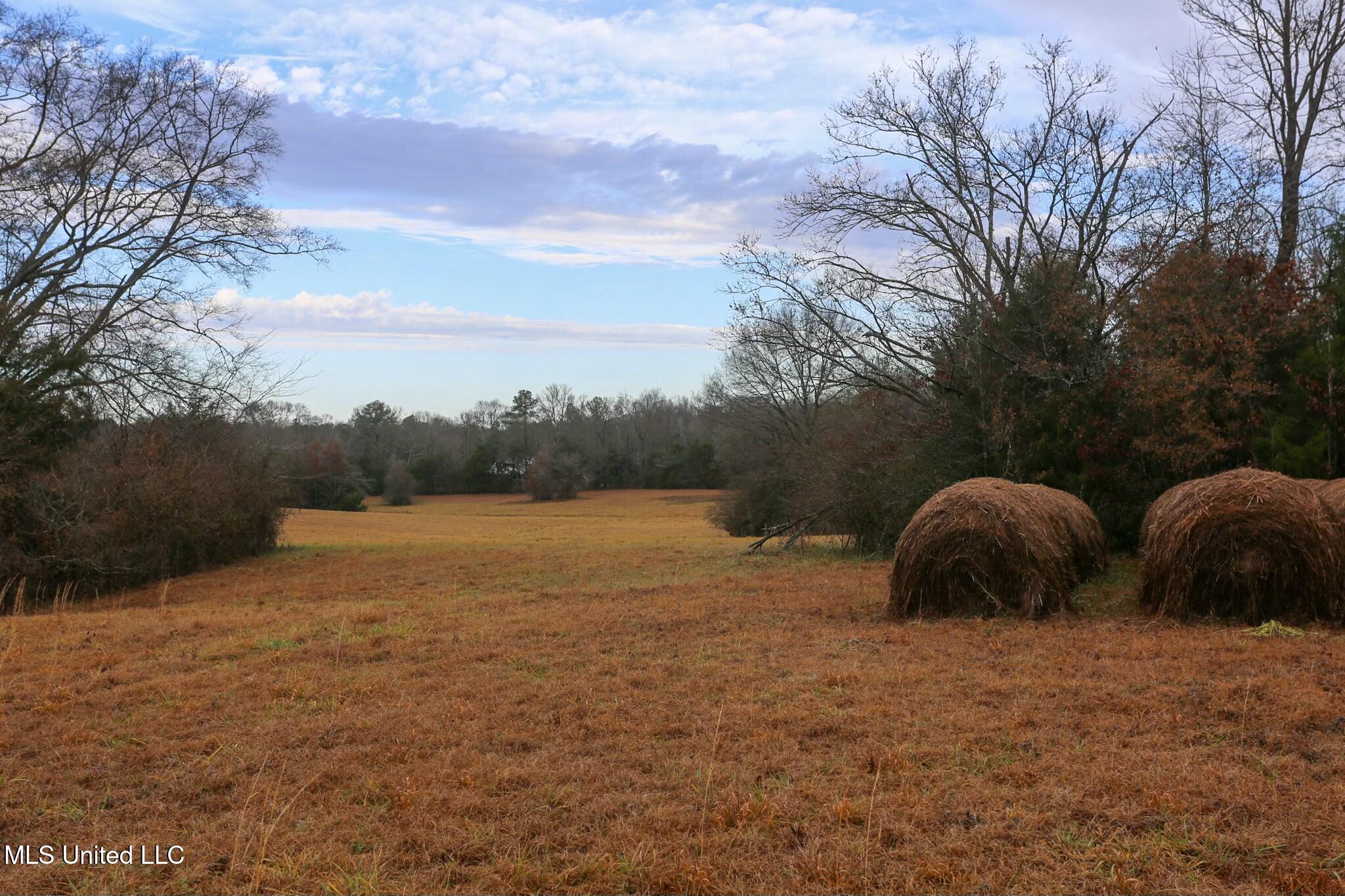 Pardue Rd Road, Raymond, Mississippi image 10