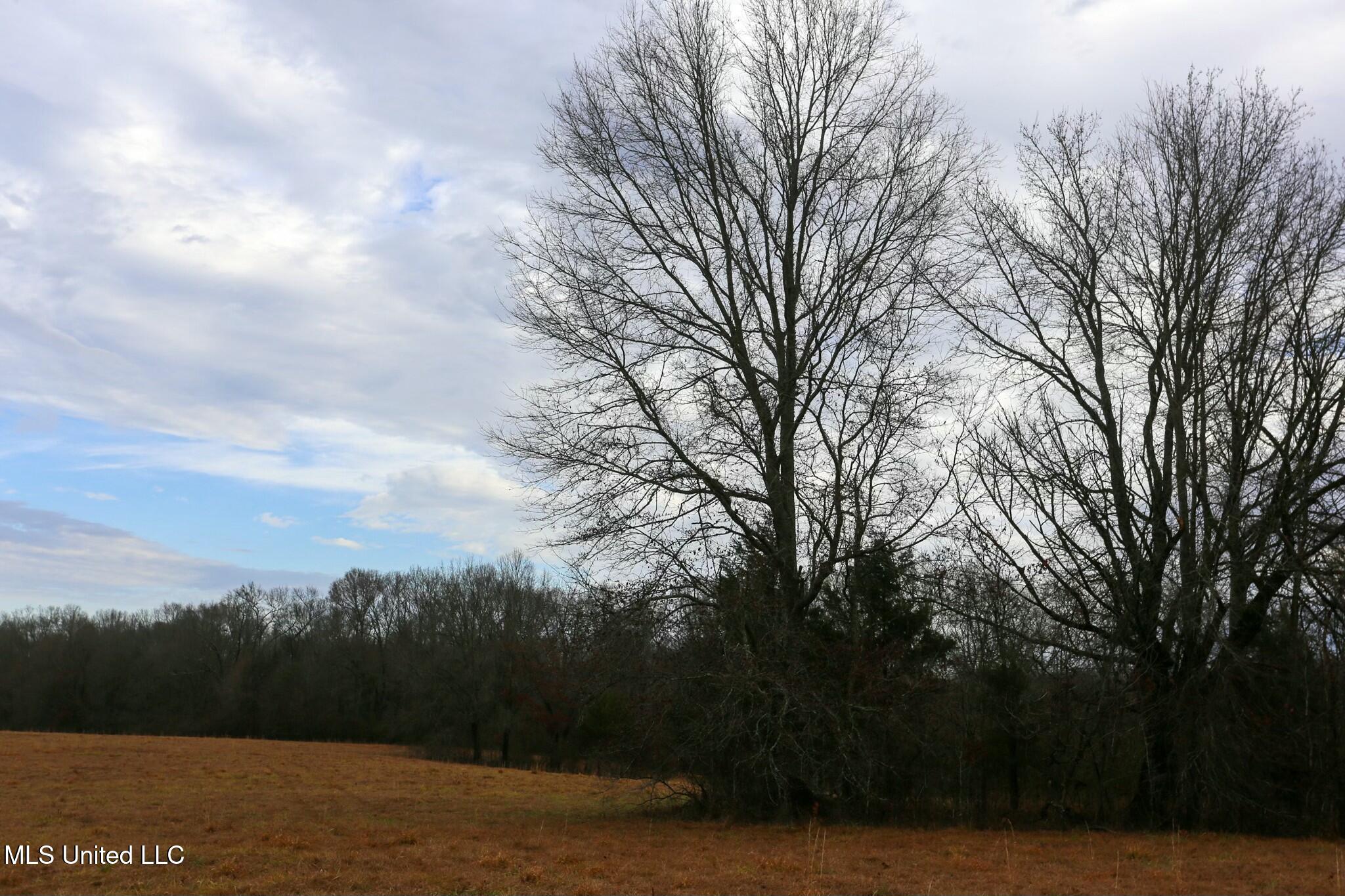 Pardue Rd Road, Raymond, Mississippi image 9