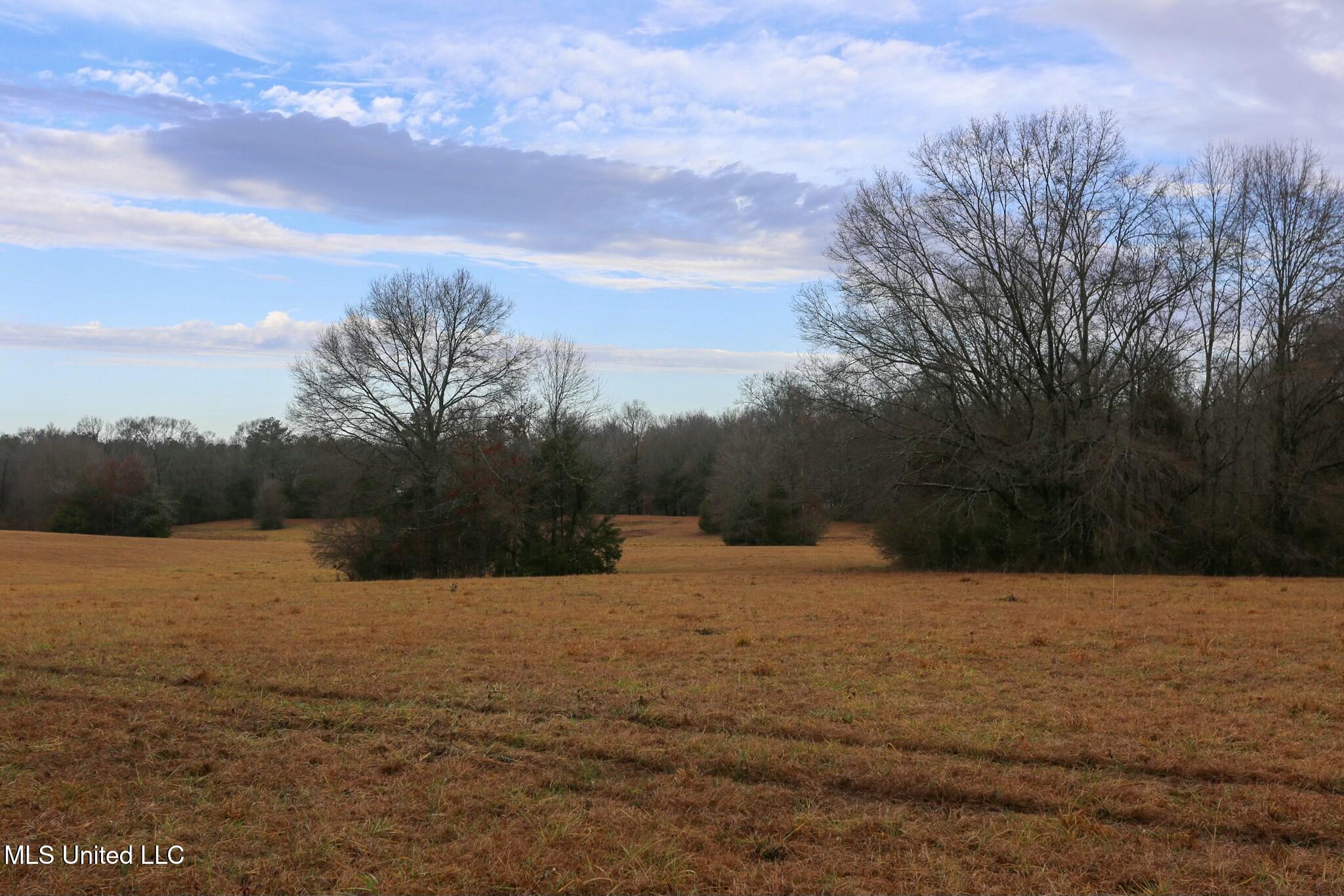 Pardue Rd Road, Raymond, Mississippi image 11