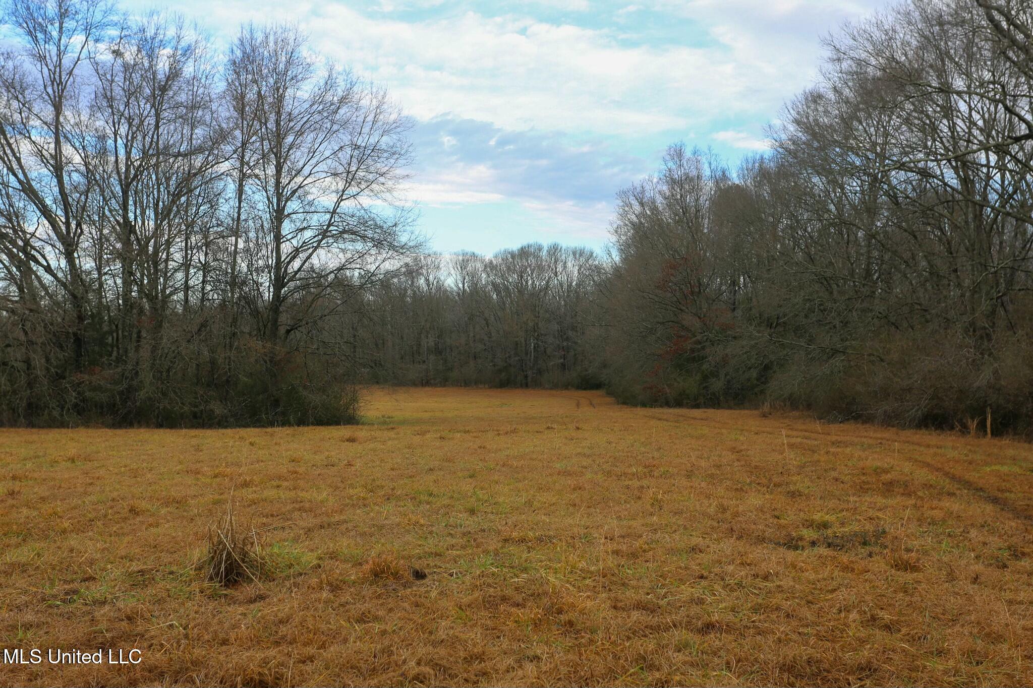 Pardue Rd Road, Raymond, Mississippi image 12