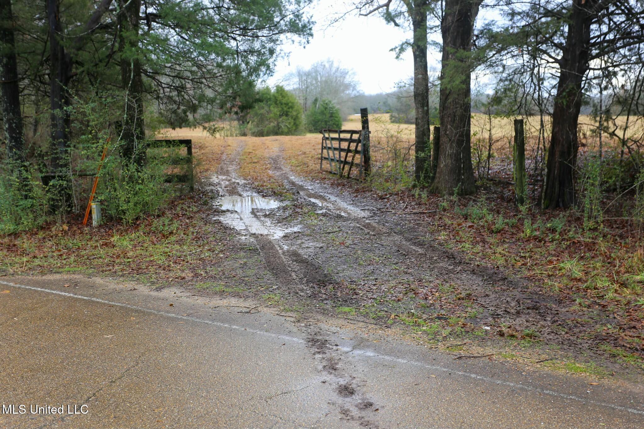 Pardue Rd Road, Raymond, Mississippi image 1