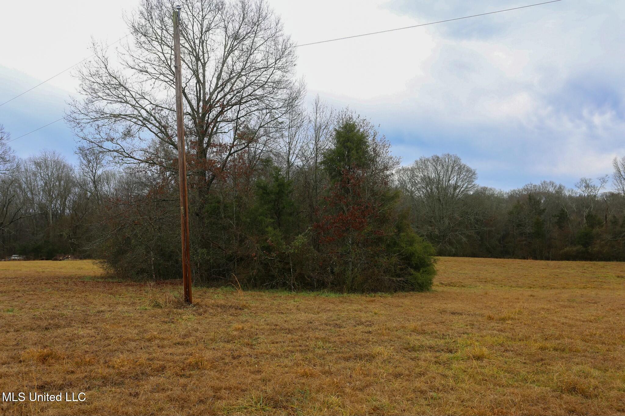 Pardue Rd Road, Raymond, Mississippi image 4