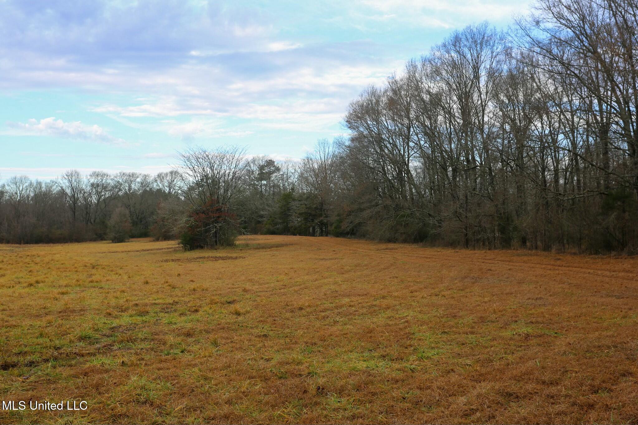 Pardue Rd Road, Raymond, Mississippi image 14