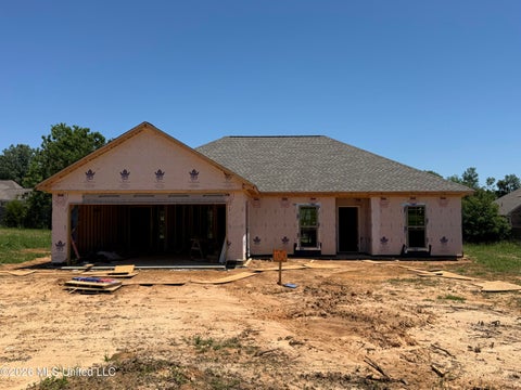 Homes For Sale - 100 Chessie Lane<br/> Carthage, MS 39051