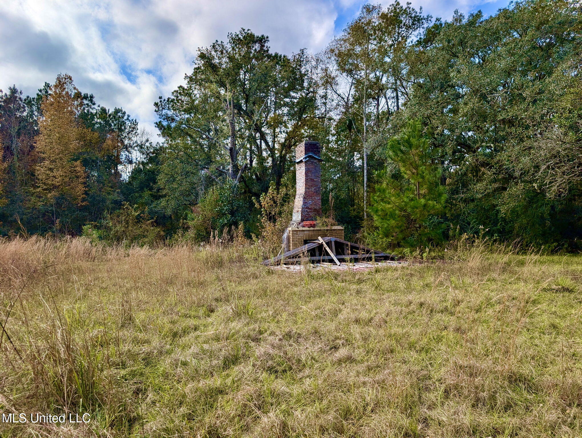 Nhn Inside Road, Picayune, Mississippi image 6