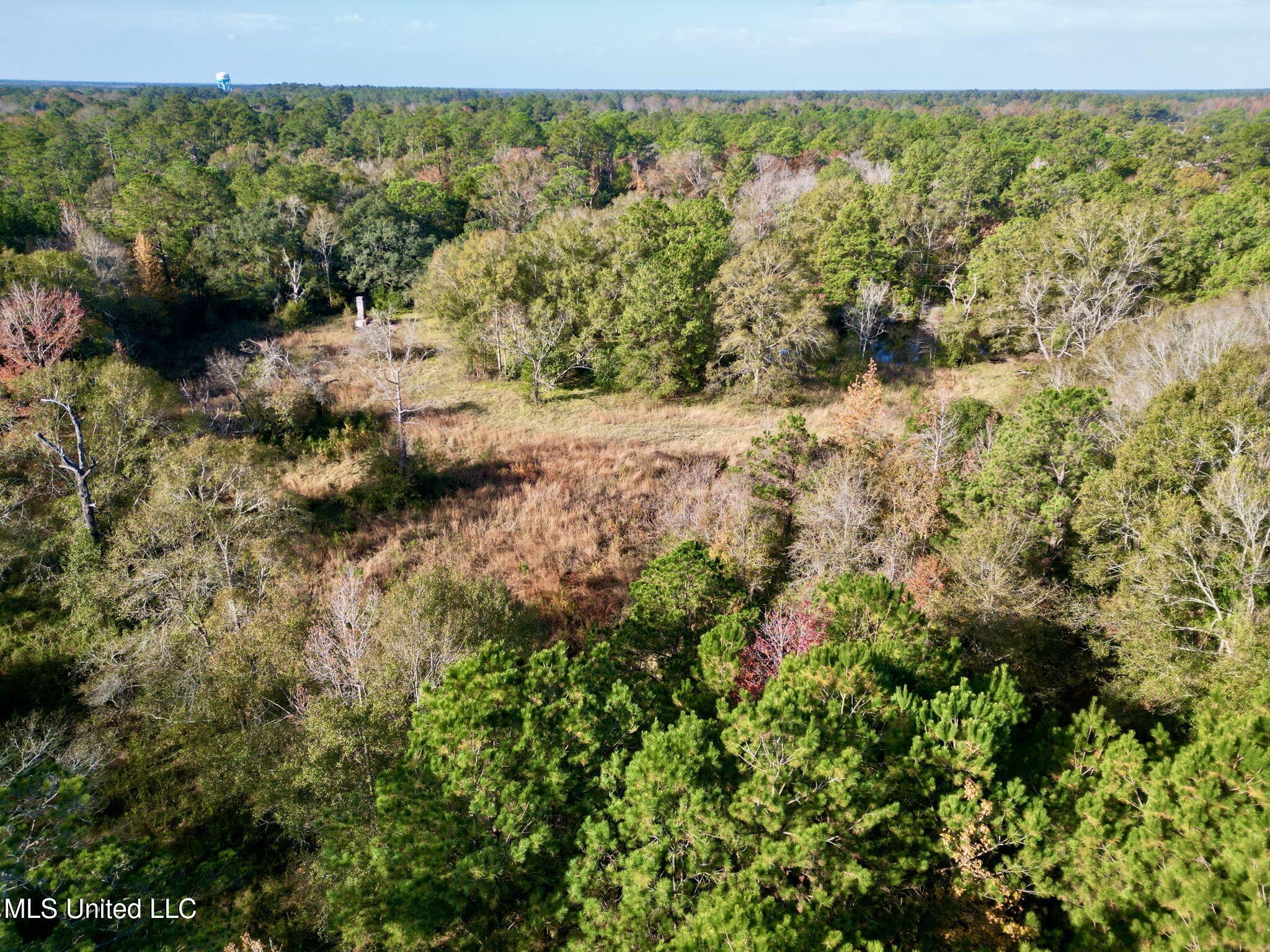 Nhn Inside Road, Picayune, Mississippi image 14