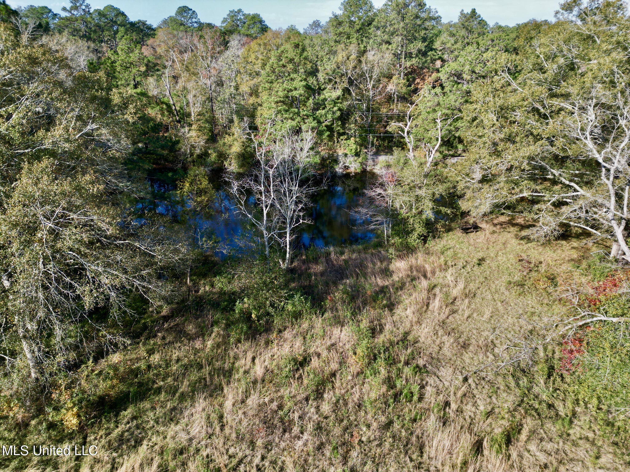 Nhn Inside Road, Picayune, Mississippi image 7