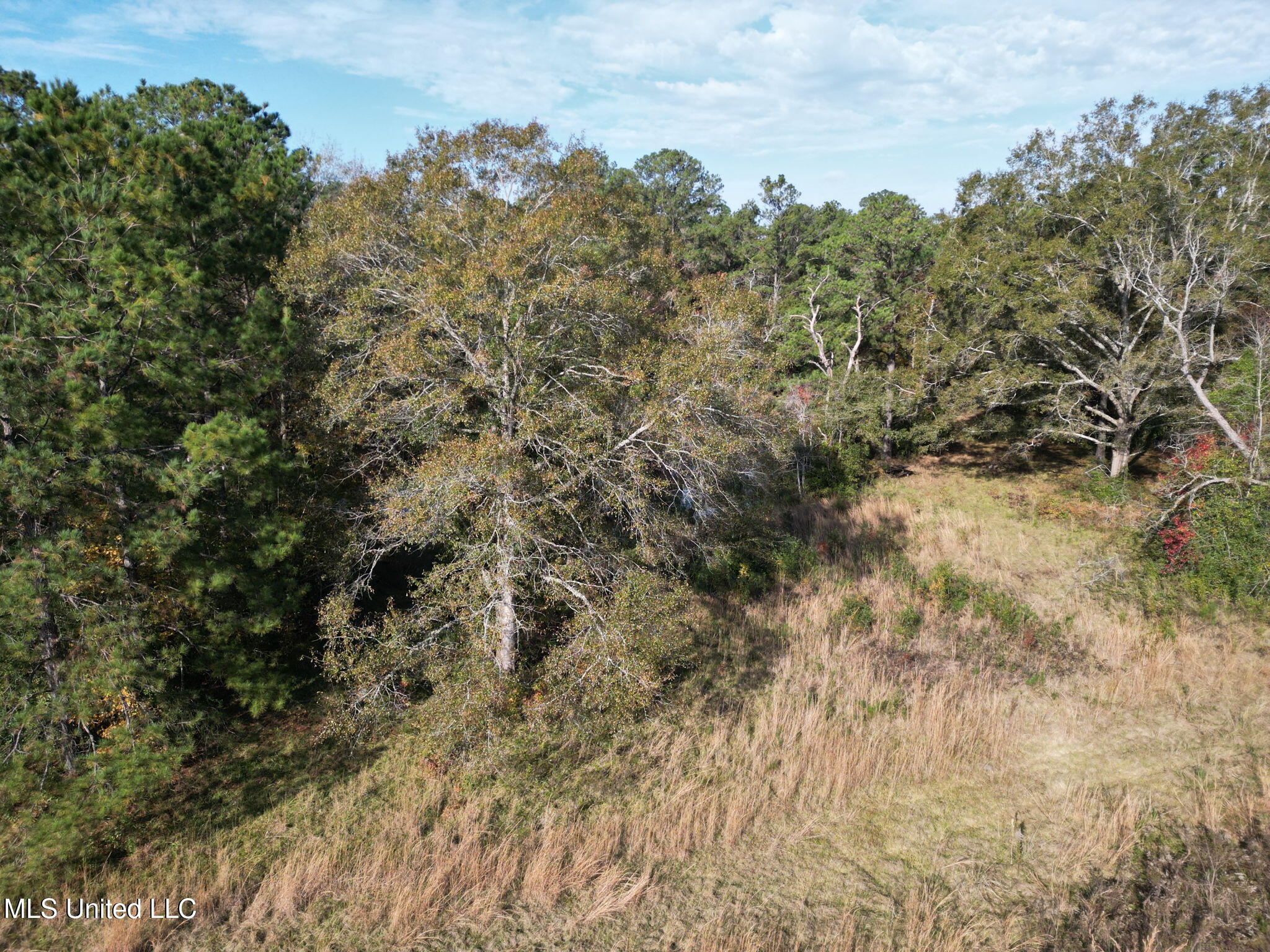 Nhn Inside Road, Picayune, Mississippi image 11