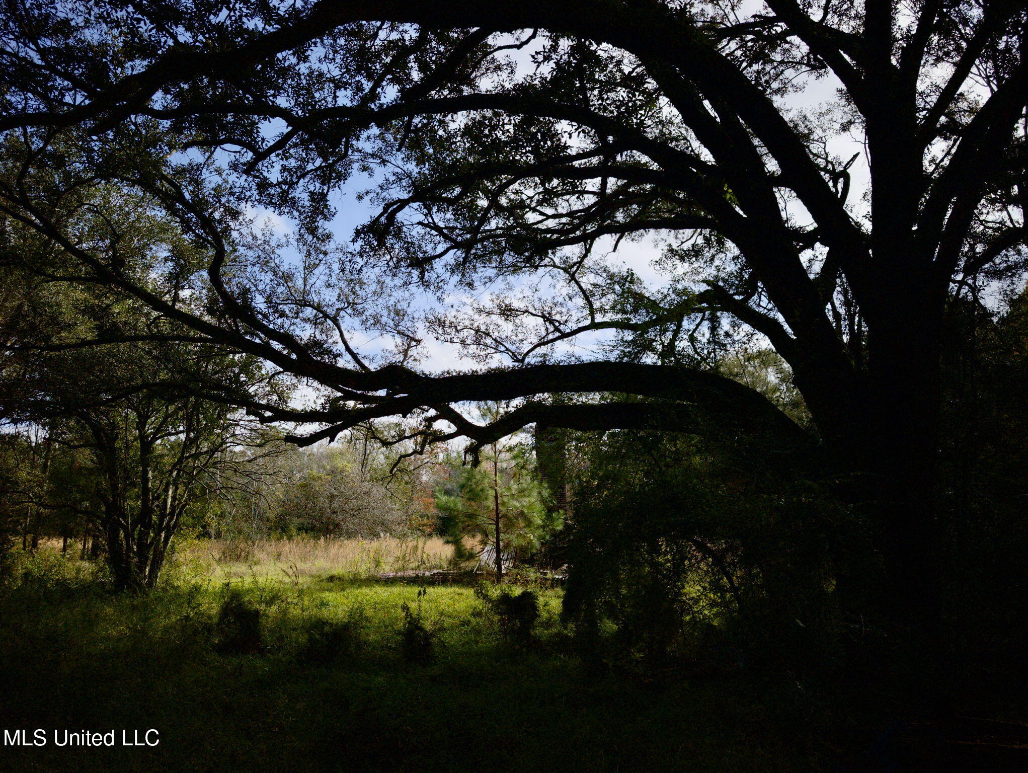 Nhn Inside Road, Picayune, Mississippi image 5