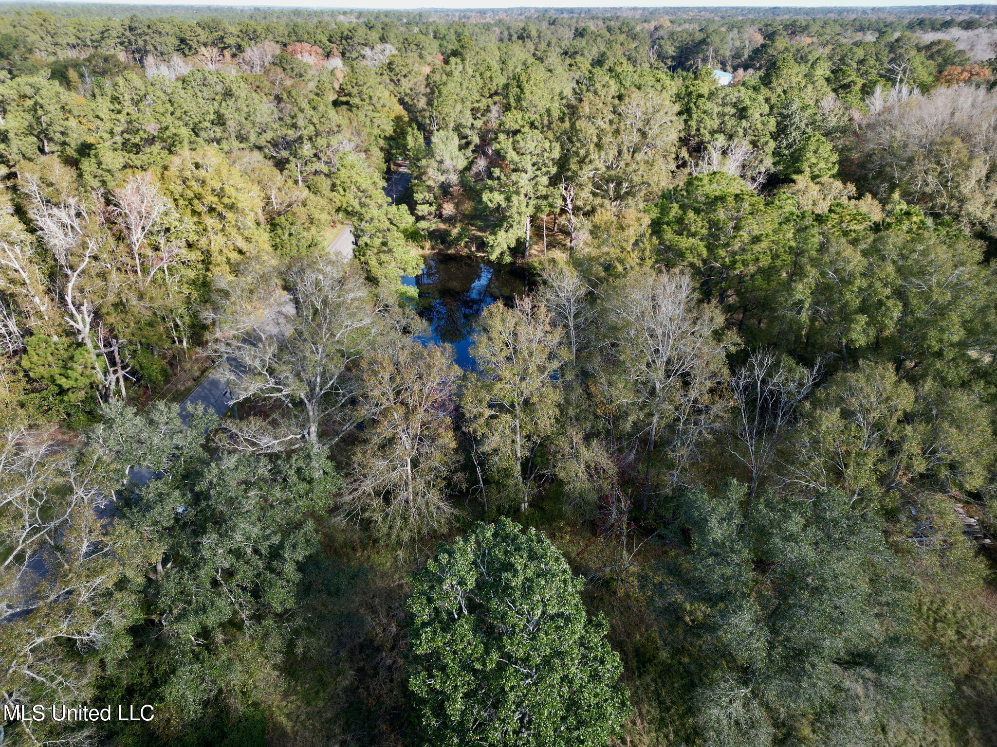 Nhn Inside Road, Picayune, Mississippi image 15