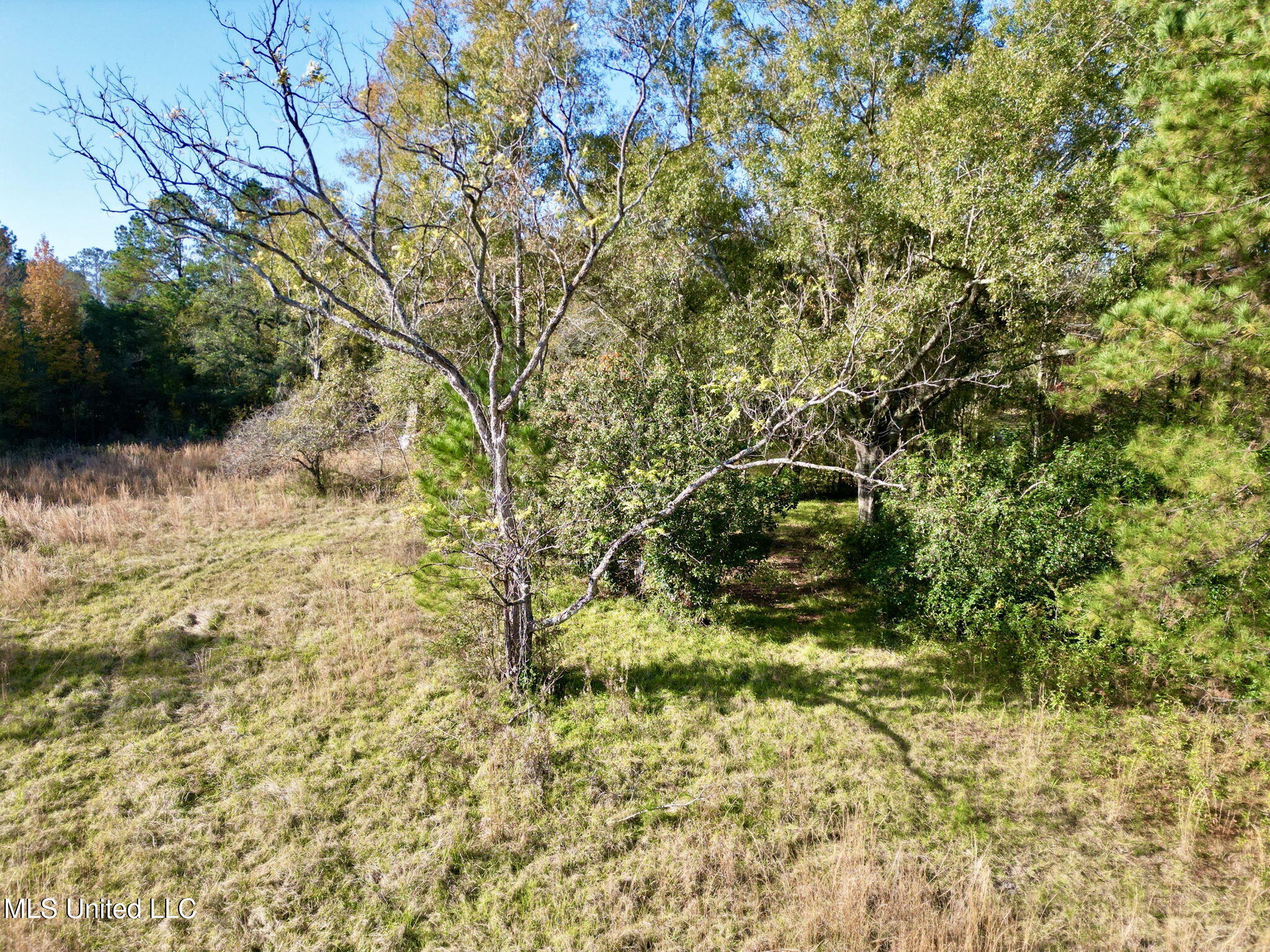 Nhn Inside Road, Picayune, Mississippi image 24