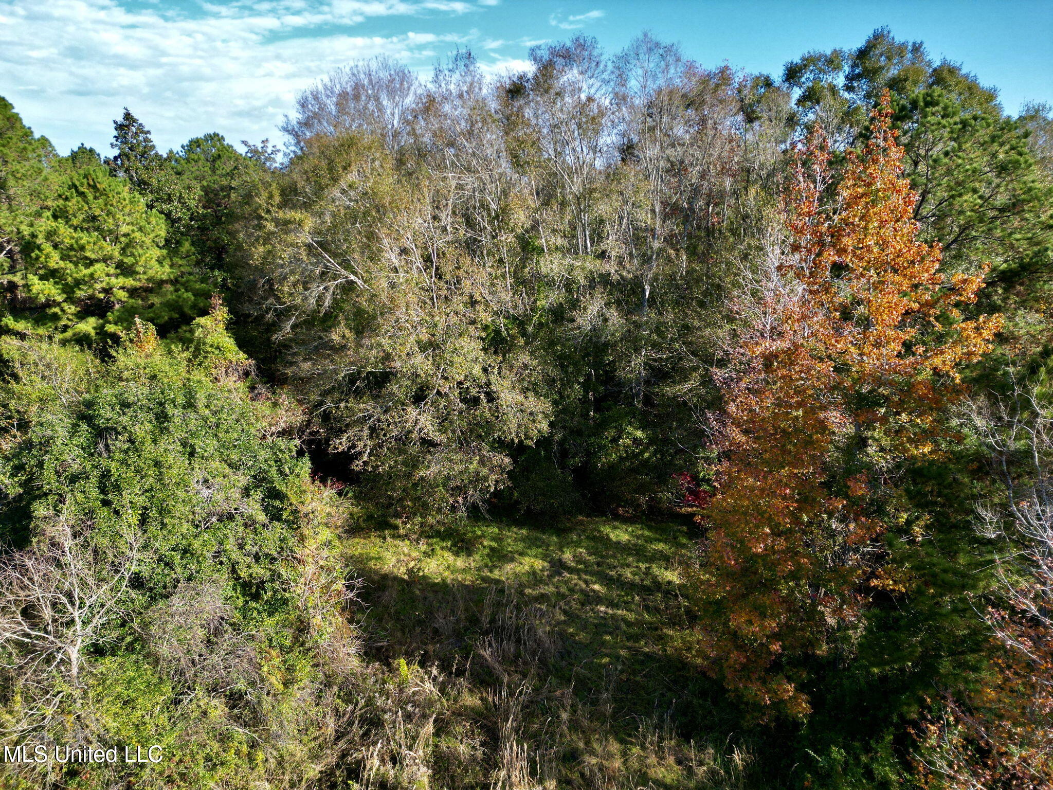 Nhn Inside Road, Picayune, Mississippi image 3