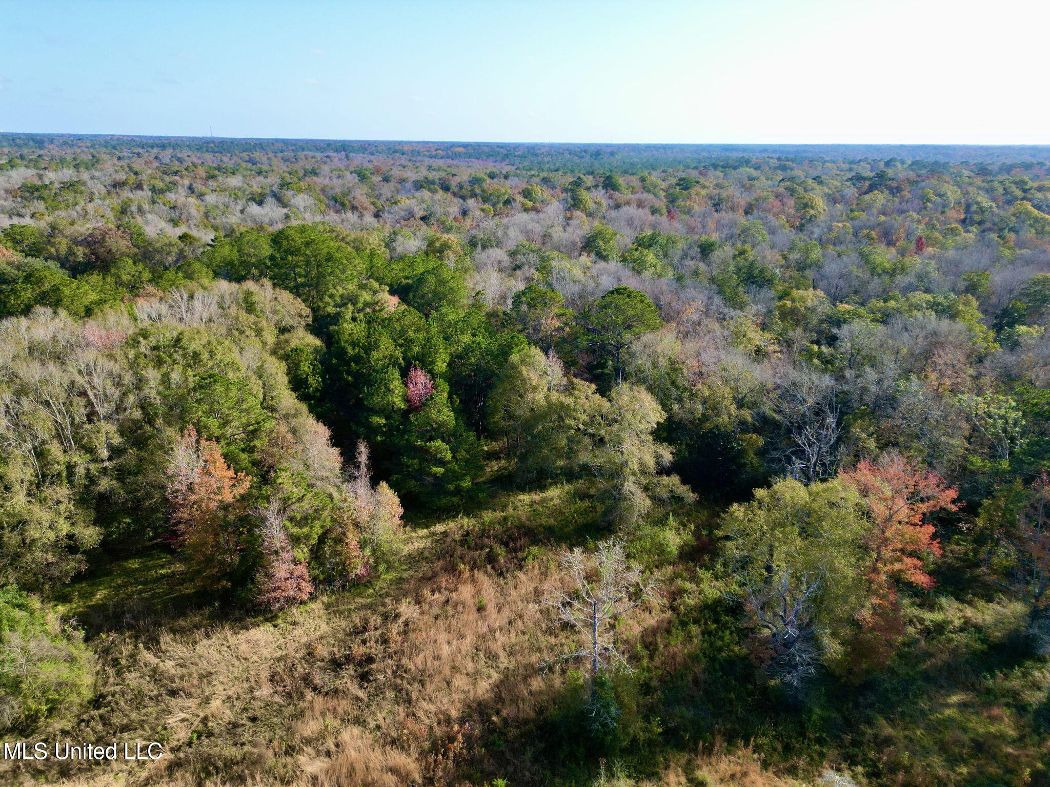 Nhn Inside Road, Picayune, Mississippi image 19