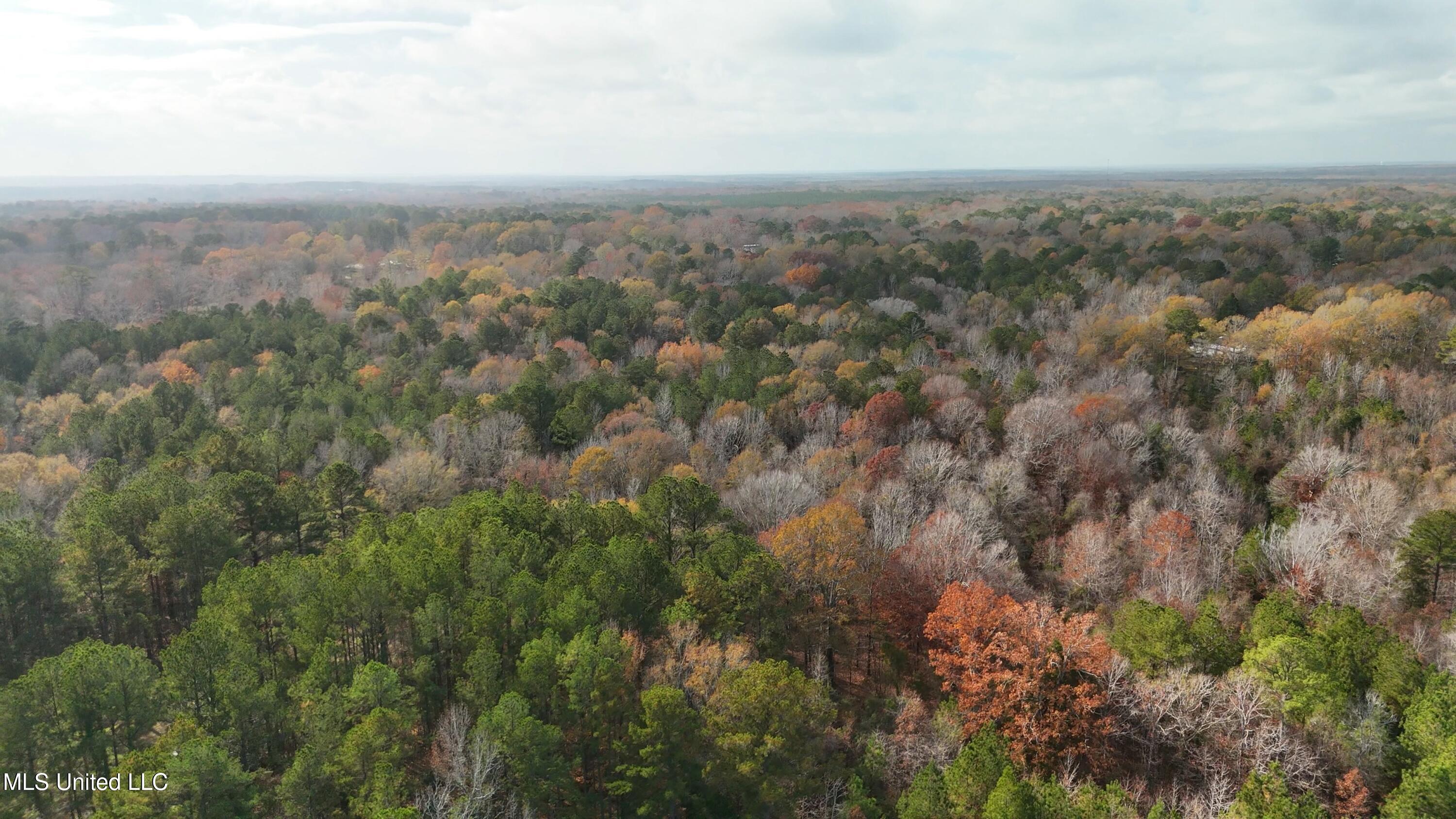 Greenhill Road, Florence, Mississippi image 19