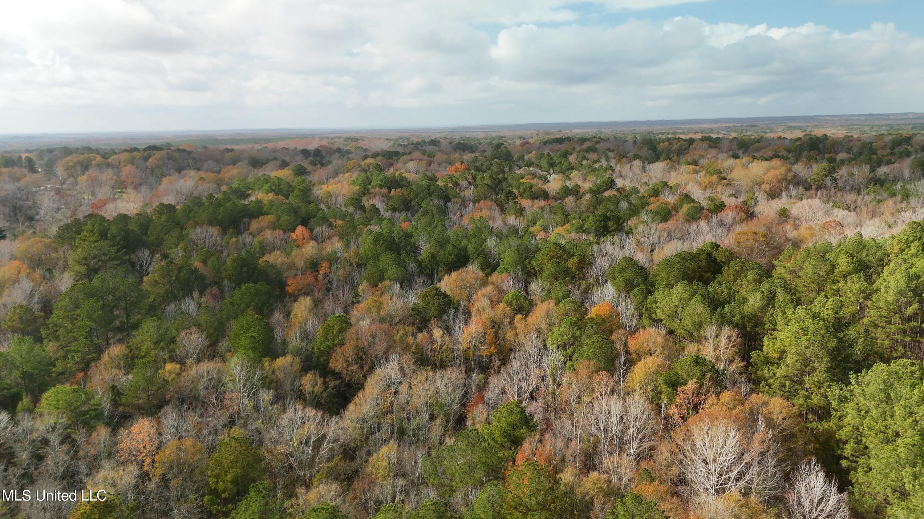 Greenhill Road, Florence, Mississippi image 20