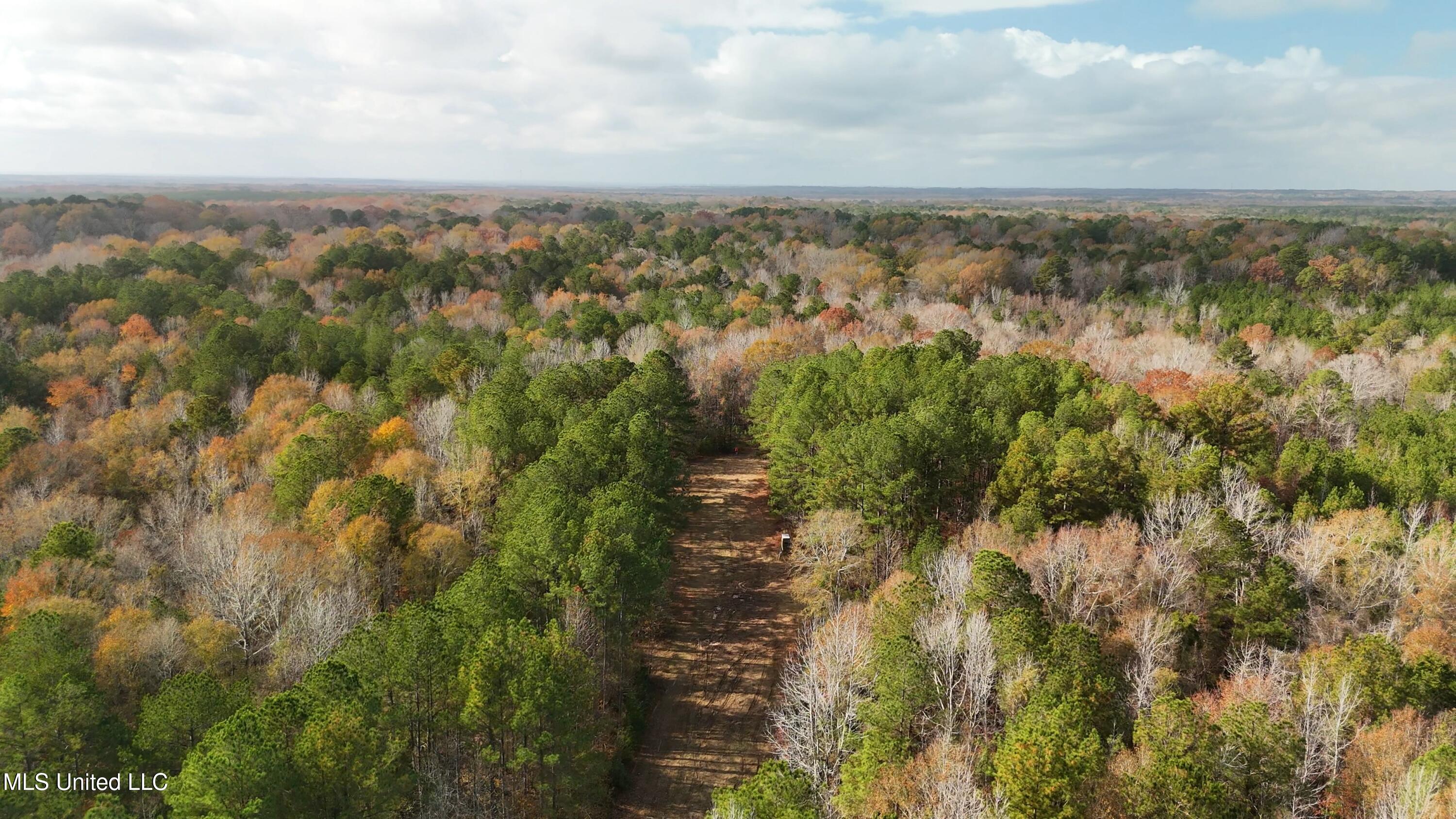 Greenhill Road, Florence, Mississippi image 23