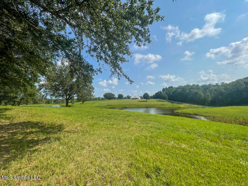 Lot 6 Gemma Drive, Lucedale, Mississippi image 42