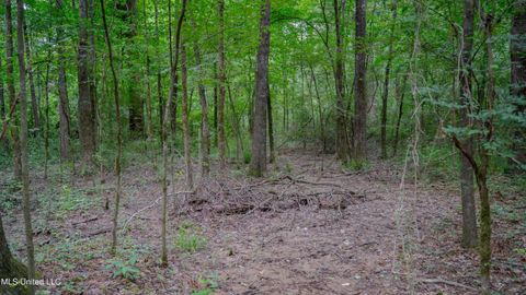 Vacant Land For Sale - OOOO Big Creek Road<br/> Byram, MS 39272