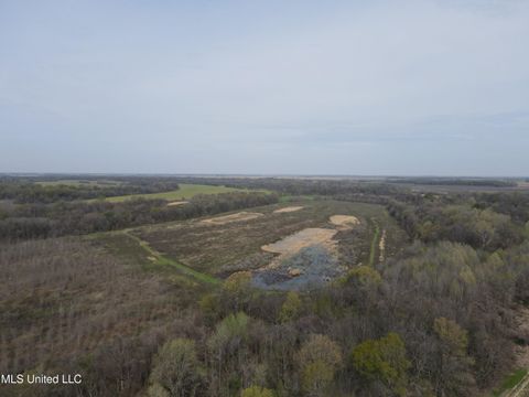 Vacant Land For Sale - Ms- 448<br/> Sunflower County, Indianola, MS 38751