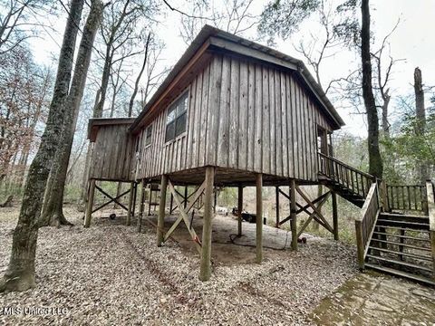 Homes For Sale - 3197 Leatherwood Road<br/> Pike County, Tylertown, MS 39667