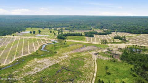 Vacant Land For Sale - Baxter Ave<br/> George County, Lucedale, MS 39452