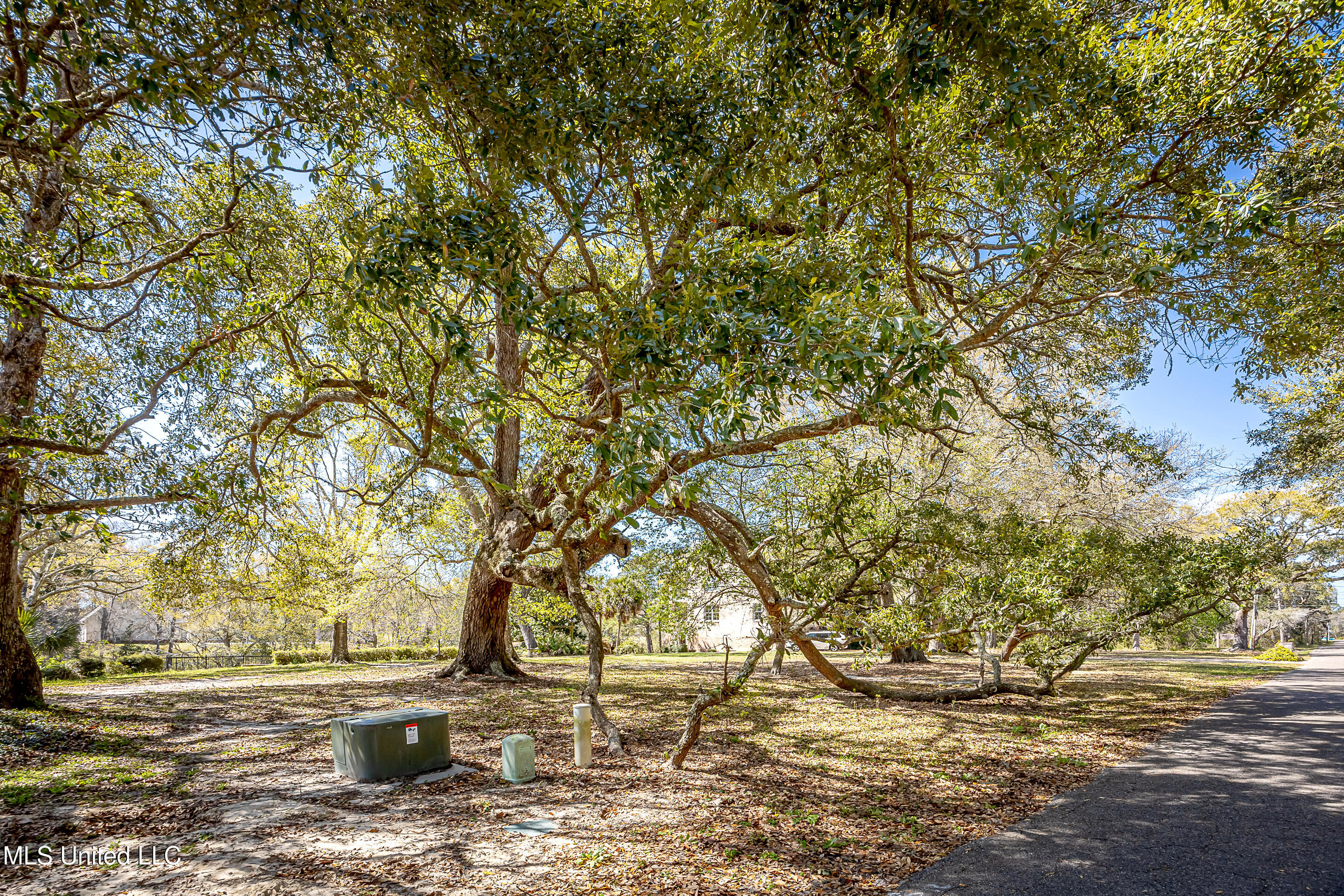 Ladnier Road, Gautier, Mississippi image 25