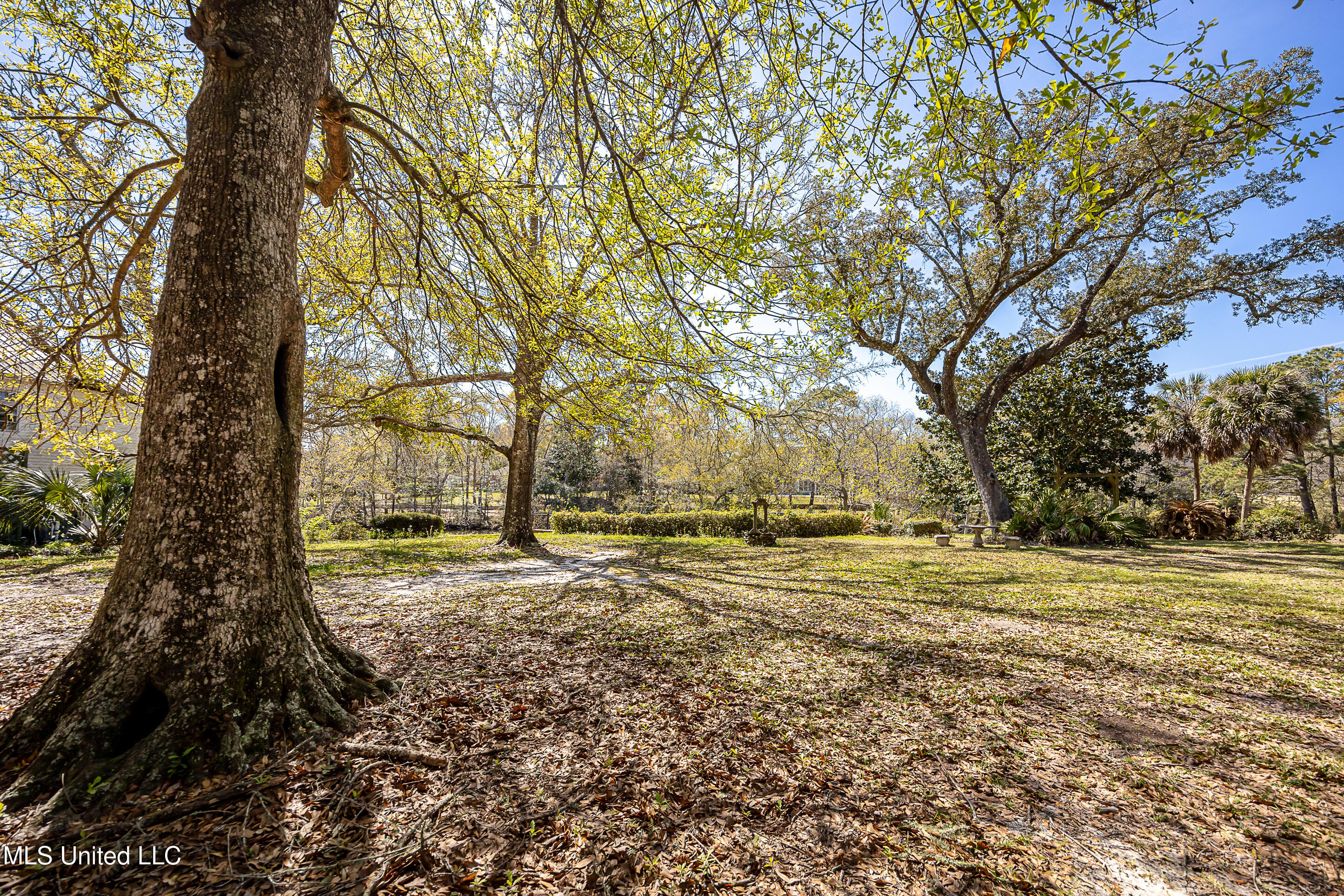Ladnier Road, Gautier, Mississippi image 17