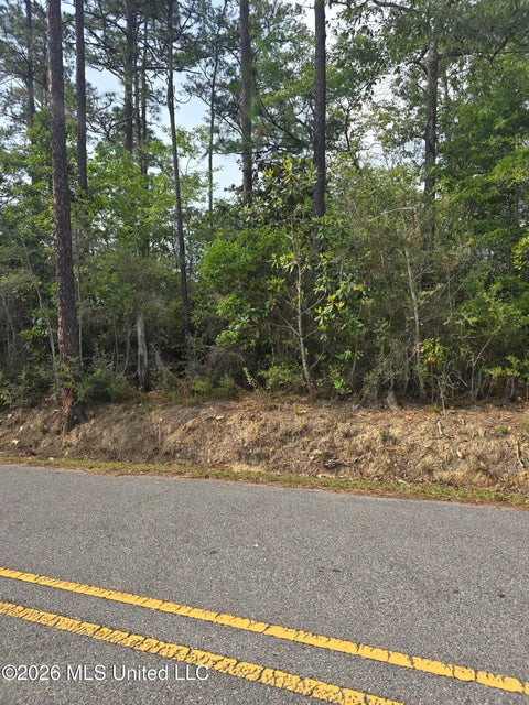 Vacant Land For Sale - Summerlin Bayou Road<br/> Vancleave, MS 39565