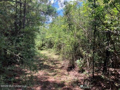 Vacant Land For Sale - Ms-48<br/> Walthall County, Tylertown, MS 39667